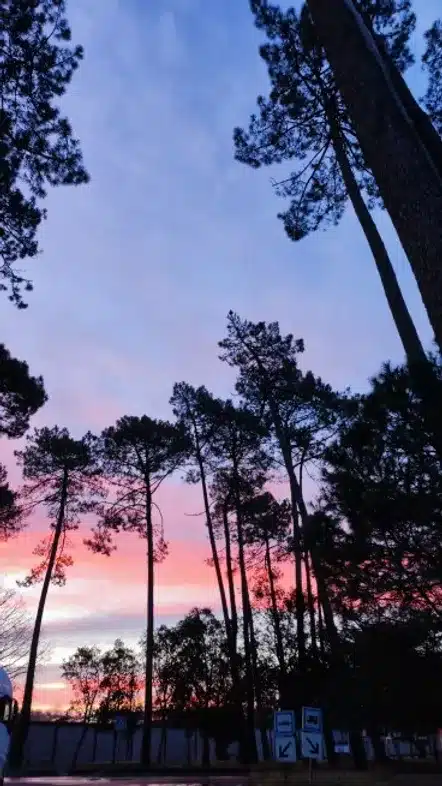 Ouverture internationale 1482 52e92f_02b52797cecd489d97c750d5b91718f5~mv2