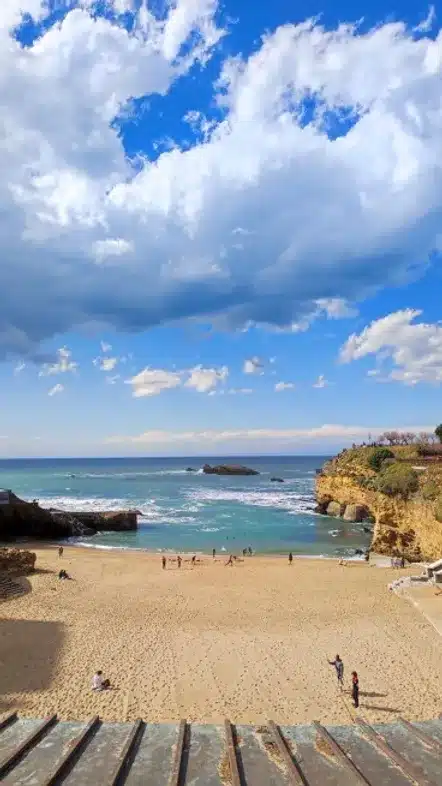 Ouverture internationale 1483 52e92f_25766eb211a44a499a68f6de7798e26d~mv2