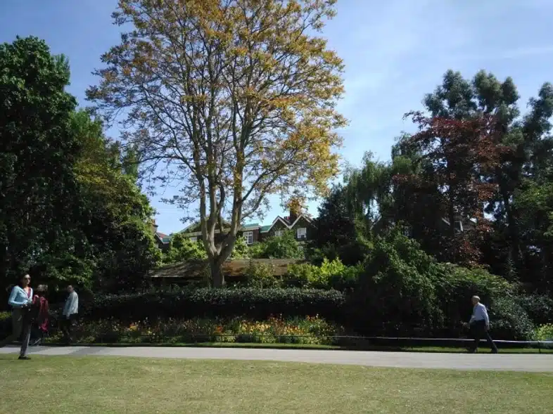 Ouverture internationale 1544 52e92f_68df355f38084376b531c6116e665960~mv2