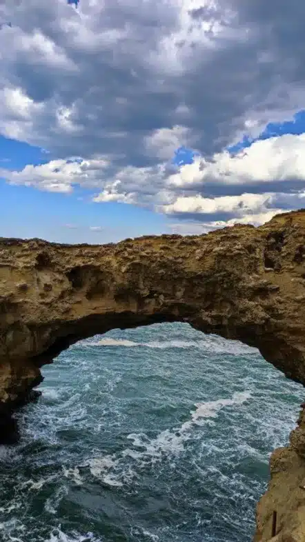 Ouverture internationale 1460 52e92f_c7da905222344ca193ce9a755a108ccb~mv2