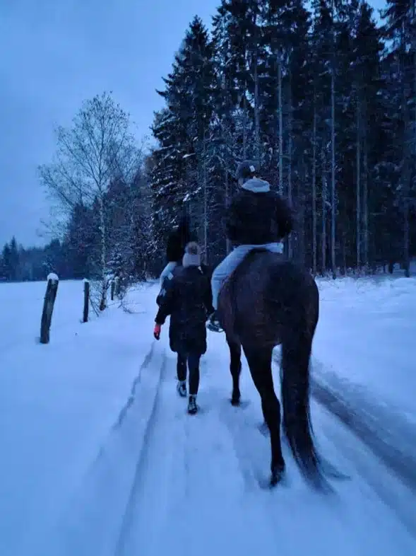 Ouverture internationale 65 52e92f_002512dcb47a4688bb0de95f08e5821f~mv2