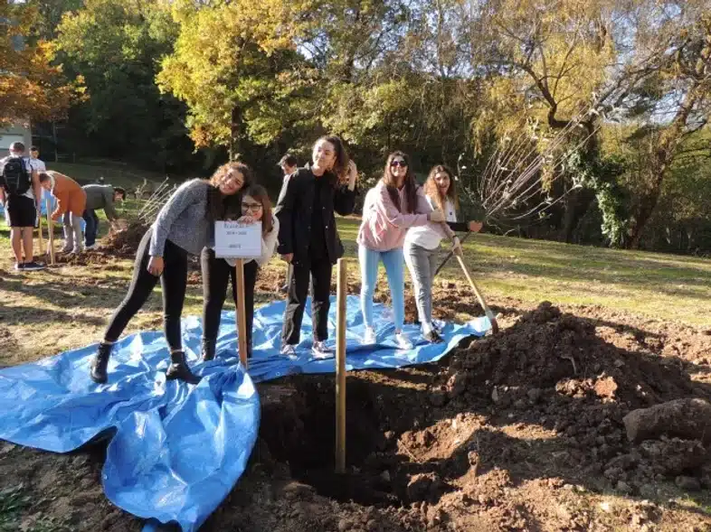 Ouverture internationale 1100 52e92f_00eac7e0fd9c473b9227f749b4ce7057~mv2