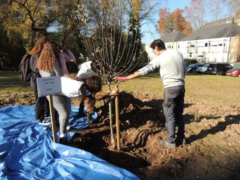 Ouverture internationale 1106 52e92f_01d1e2bbcd8a4e97b5db855f1a778b90~mv2