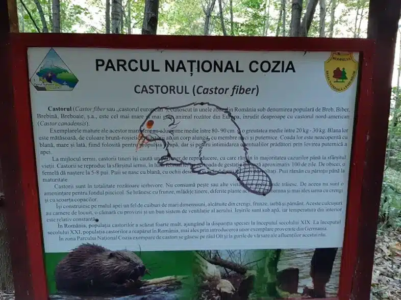 Ouverture internationale 872 52e92f_0378f384d7ac4f1391ea5e0f20b94366~mv2