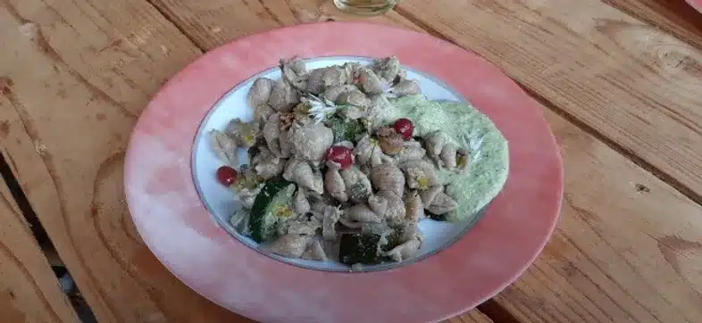 Ouverture internationale 482 52e92f_0c82f1c6c3984c7ba92b78fc8ed42f80~mv2