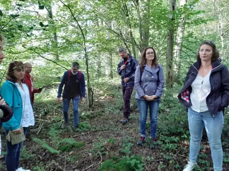 Ouverture internationale 295 52e92f_172a44fd272548aeb46416276982f6b2~mv2