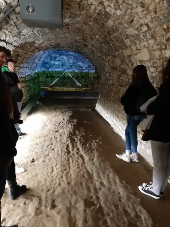 Ouverture internationale 675 52e92f_194e33824137445b9b18f34d289b1984~mv2