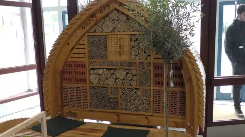 Ouverture internationale 628 52e92f_1b11b442dc954c26b01271acba999eb7~mv2