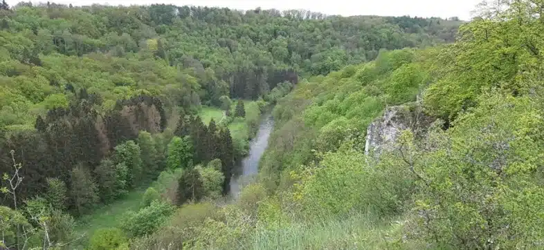 Ouverture internationale 496 52e92f_1f6c210687df4662b712e2a6b1735b33~mv2