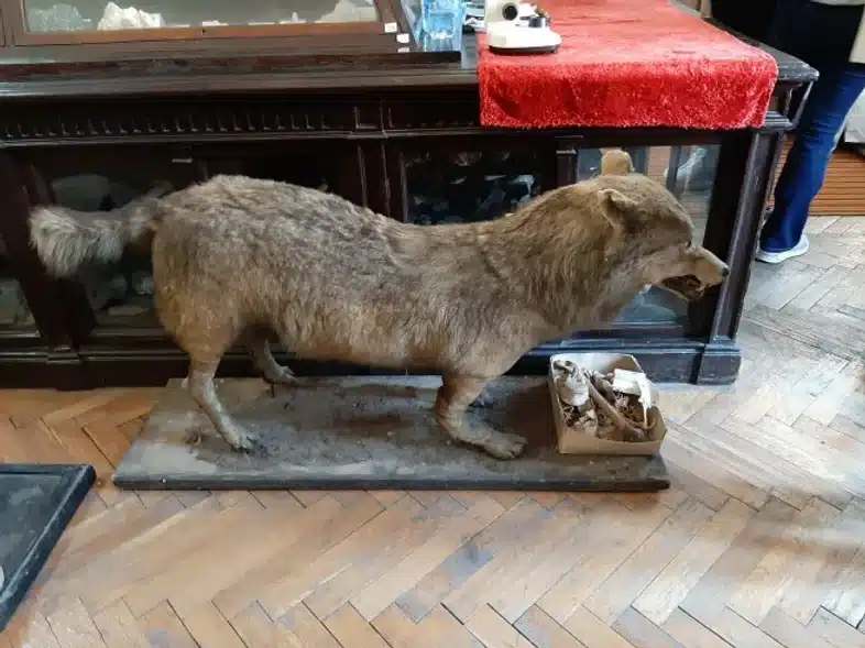 Ouverture internationale 745 52e92f_235d66e39f4740e394f1474a9d42b46b~mv2