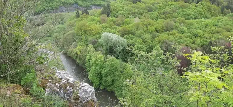 Ouverture internationale 495 52e92f_28e26aaeab604b0eb1cff59d9bb0f7d7~mv2