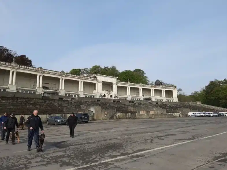 Ouverture internationale 695 52e92f_2afe823ddd704e9b85380c4d1449c218~mv2