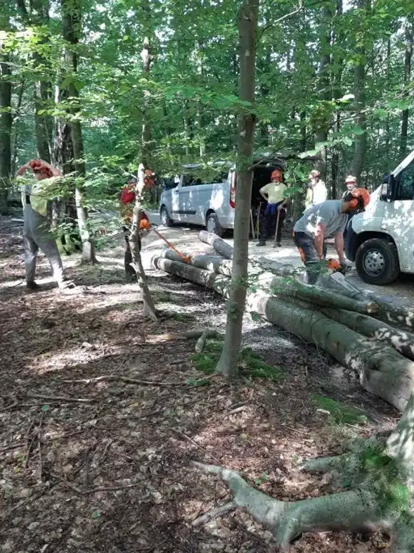 Ouverture internationale 314 52e92f_2c8e43ff127a47b1b128e333d25b78cb~mv2