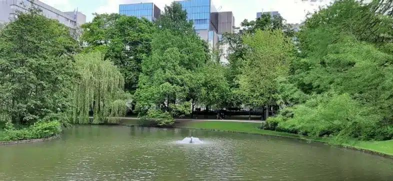 Ouverture internationale 433 52e92f_2cab82400ce5418e89f0c20f1163faa1~mv2