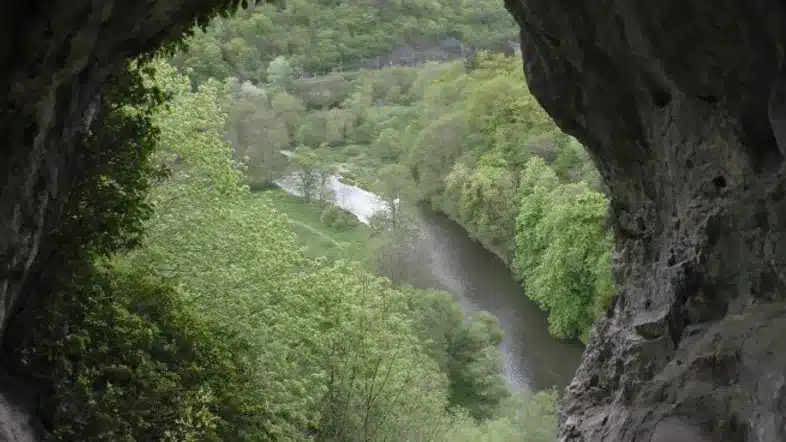 Ouverture internationale 515 52e92f_2dea39b45b3646d2971ad3a2426c39c0~mv2