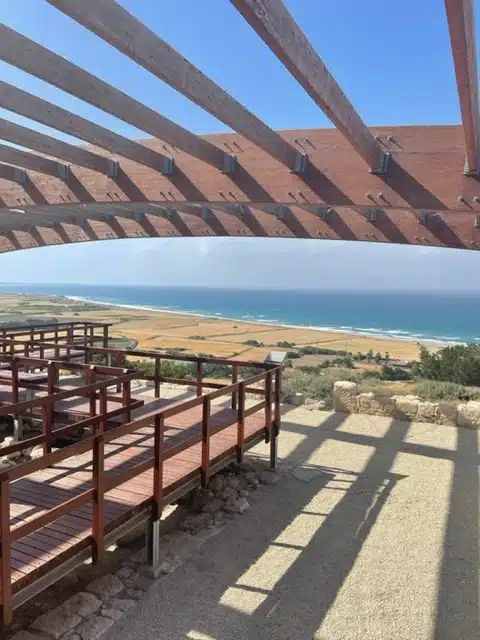 Ouverture internationale 229 52e92f_312405680ded40deb3c80c1f717d65c1~mv2