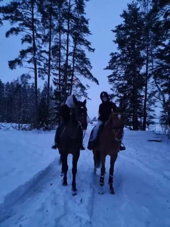 Ouverture internationale 64 52e92f_338635c289894803a527385ae5fb7044~mv2