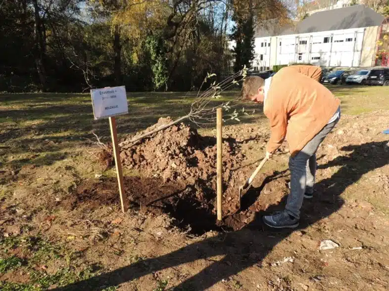 Ouverture internationale 1101 52e92f_34e1e5d71c7b4577a3295dd440d800c3~mv2