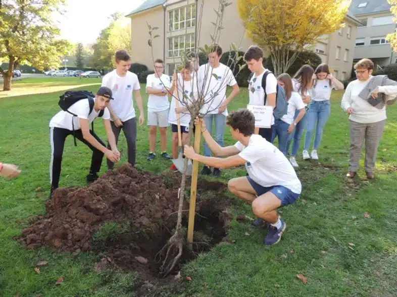 Ouverture internationale 1105 52e92f_392ca432b3c84c8386cb1ad61a10577b~mv2