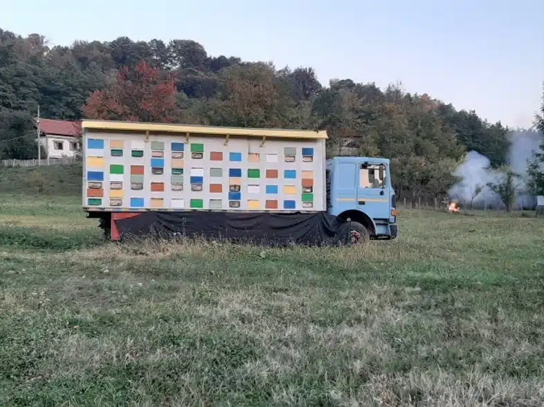 Ouverture internationale 839 52e92f_3a5586e541f14dc3957ba805c15a8bca~mv2