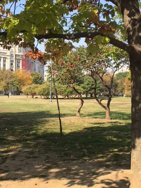 Ouverture internationale 944 52e92f_406992af40b244f3a7b513d9b947cc71~mv2