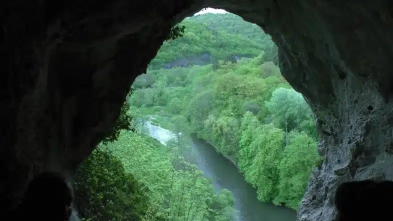 Ouverture internationale 518 52e92f_41292d27dc884569b8e285c23d45818a~mv2