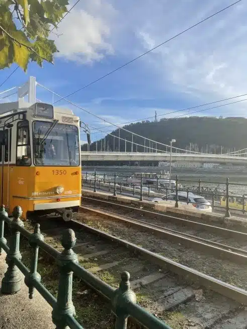 Ouverture internationale 212 52e92f_4435a9cd5edc4451a99e745859f68cad~mv2