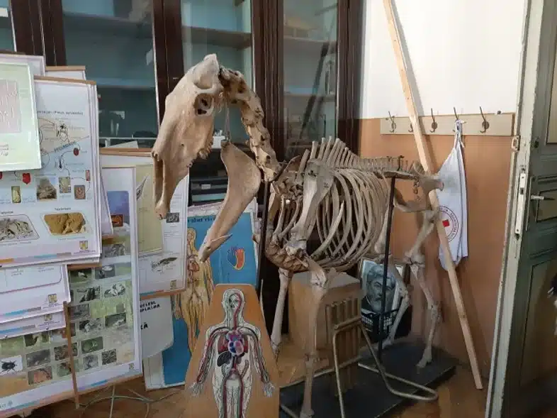 Ouverture internationale 751 52e92f_4bc1d019b9964c5d81597bafdda6cdc8~mv2