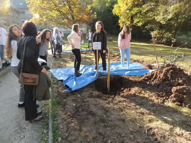 Ouverture internationale 1096 52e92f_4cae24de4321467da4e0292dc95c2c01~mv2