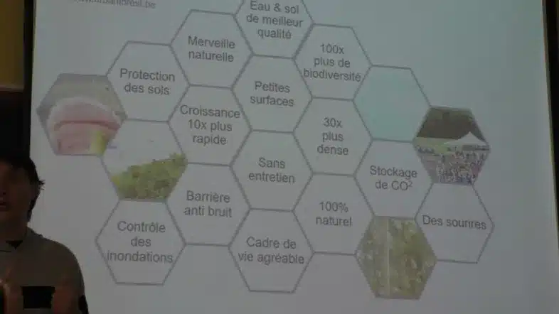 Ouverture internationale 610 52e92f_570b5db7c6744bae8243e2221731b6a7~mv2