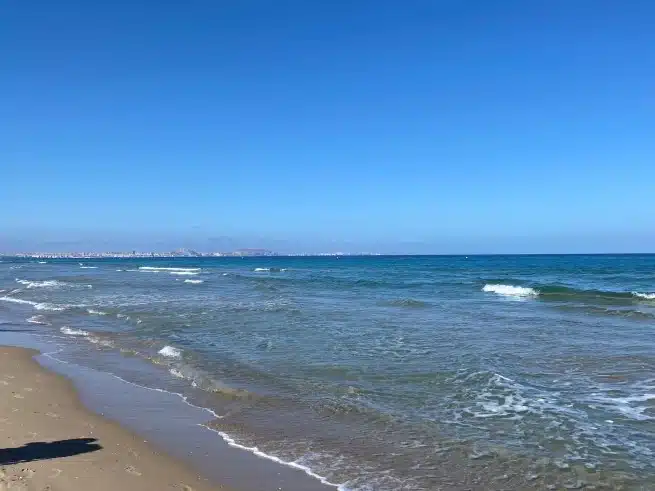 Ouverture internationale 138 52e92f_5a5629de7b6e42b8b70be50adcc5fa0c~mv2