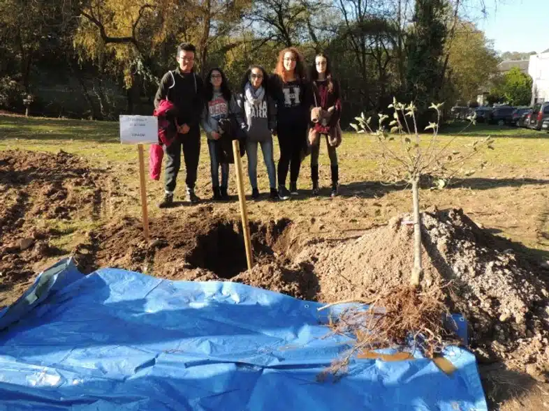 Ouverture internationale 1097 52e92f_5bbaf14c4e444a32b98f775382b0de98~mv2