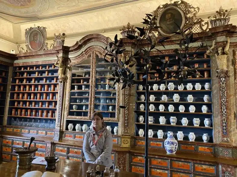 Ouverture internationale 1167 52e92f_5cfee0dd4a6b4278a421eb6b5fd696a9~mv2