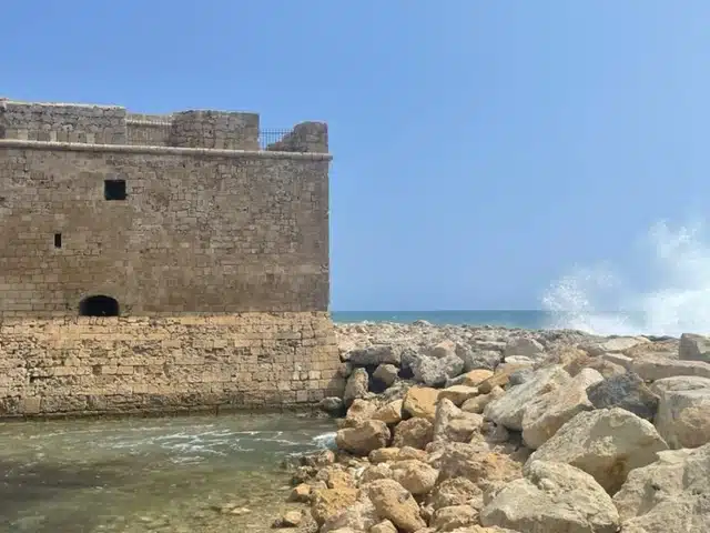 Ouverture internationale 232 52e92f_60df38ba695a44da938a166249bbf554~mv2