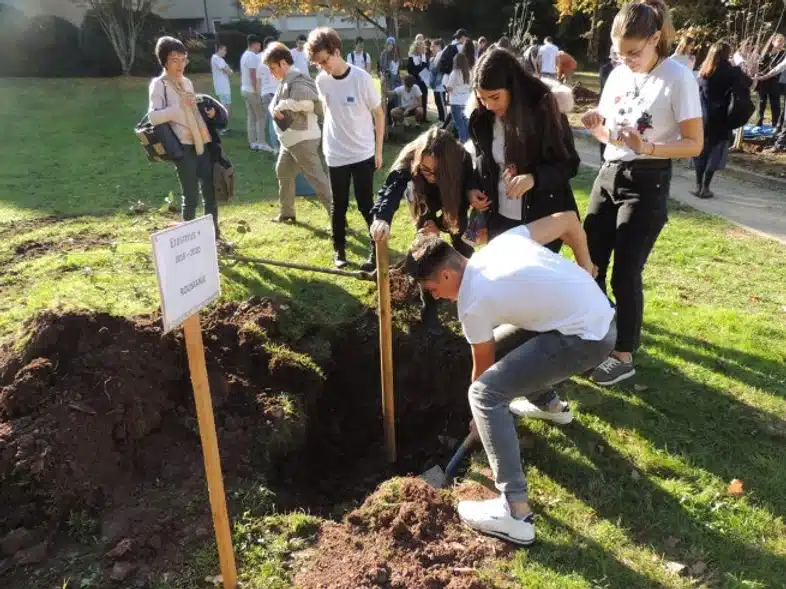 Ouverture internationale 1109 52e92f_647f2c7c332e47aea27427cec0bf8644~mv2