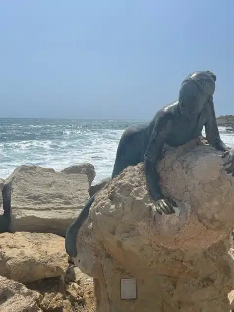 Ouverture internationale 227 52e92f_6869c0c3b756445eb54747fcc33fe07f~mv2