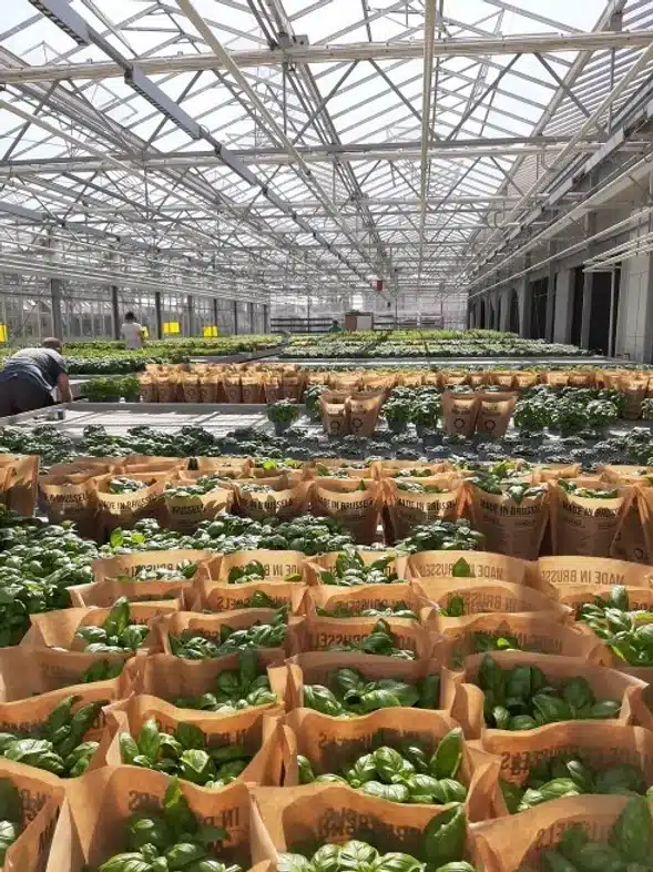 Ouverture internationale 325 52e92f_6b3acf2980724be7bcbcd6a1d4f46257~mv2