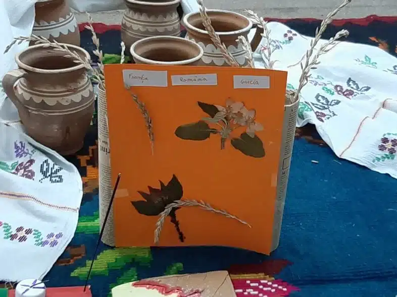 Ouverture internationale 806 52e92f_76568ffc4fa34a99a626ad9a8e180855~mv2