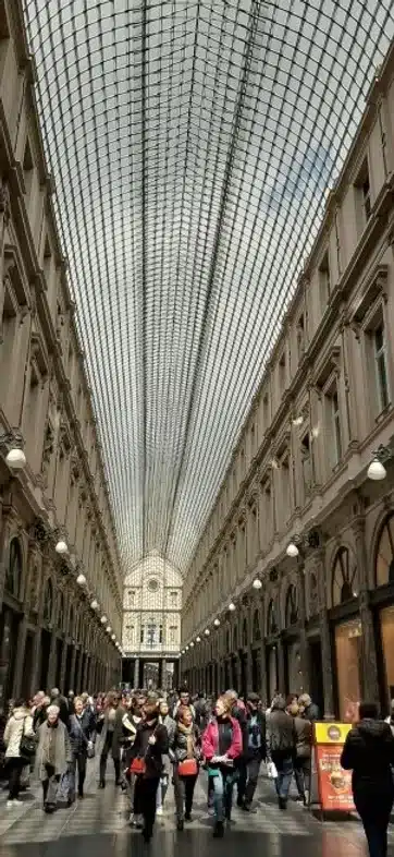 Ouverture internationale 392 52e92f_7d56d7d1a0164ecd95cbf77d085cb471~mv2