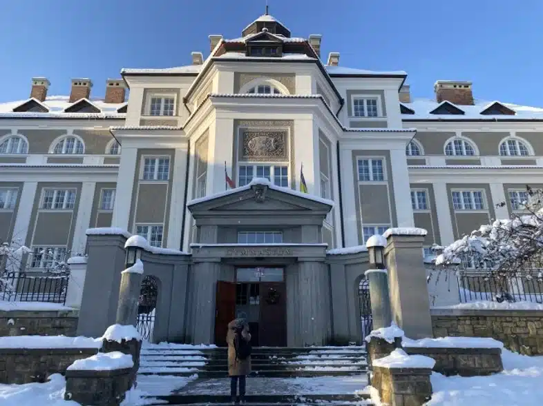 Ouverture internationale 53 52e92f_8c42efe46d2b4612b4f2f76a3be49aa9~mv2