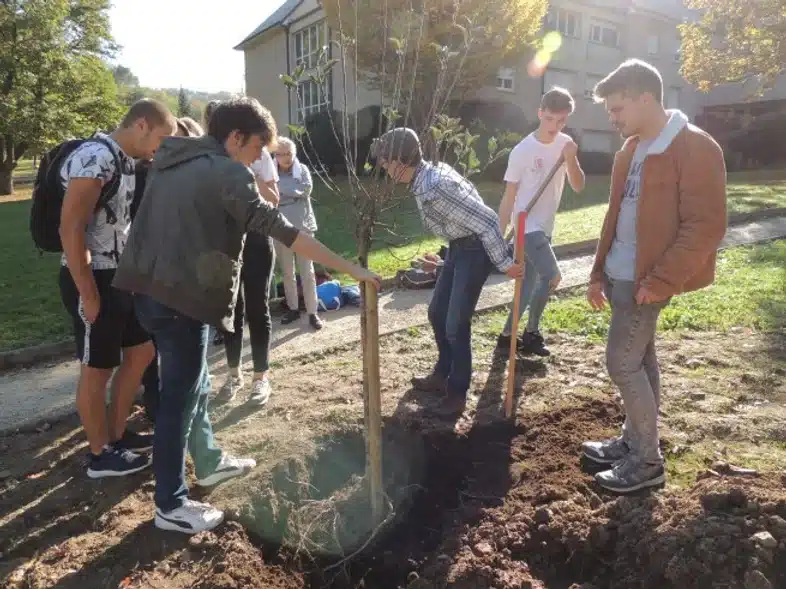 Ouverture internationale 1104 52e92f_8cae6779e7d7487899b75ef54b6cca8c~mv2