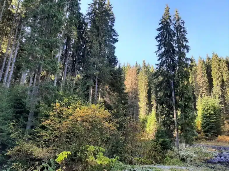 Ouverture internationale 845 52e92f_8efe95cfd92642dd88341e90b34ccf9e~mv2