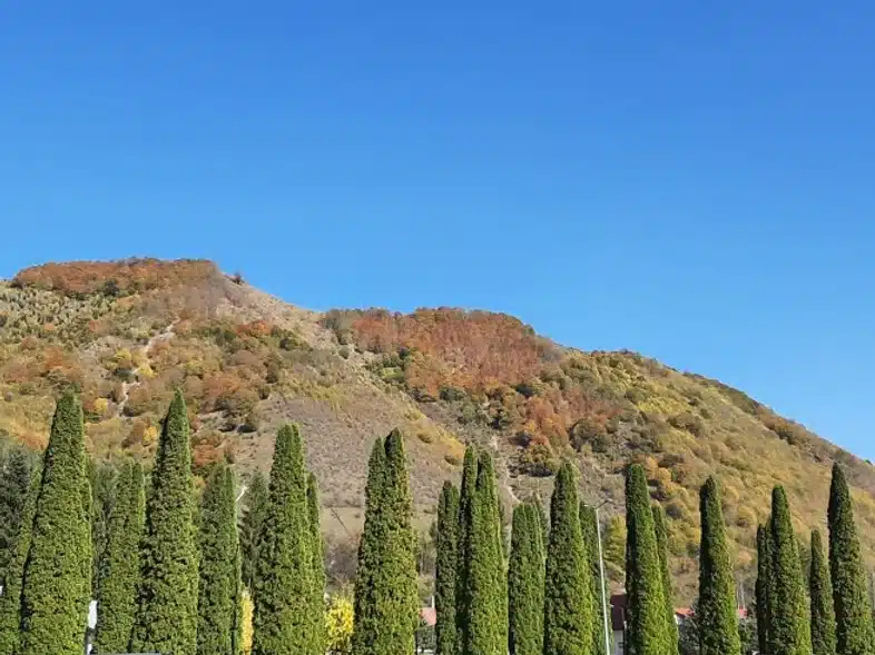 Ouverture internationale 855 52e92f_946156b6a5ca42adad4f348cdae3f498~mv2