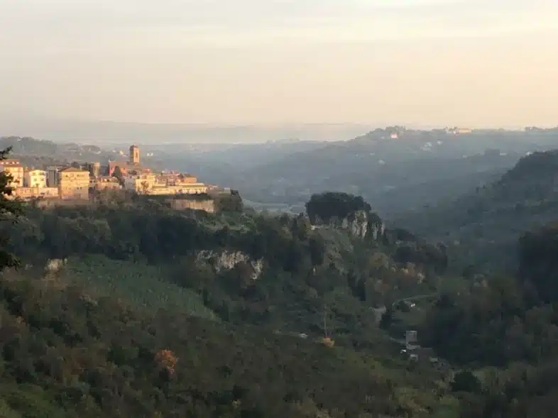 Ouverture internationale 1278 52e92f_9d242c37b292425ab5d1fb3af5d11842~mv2