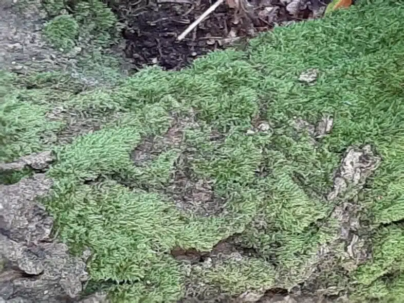 Ouverture internationale 299 52e92f_9ee0e3a850e34be782e515c9a8b84ae3~mv2