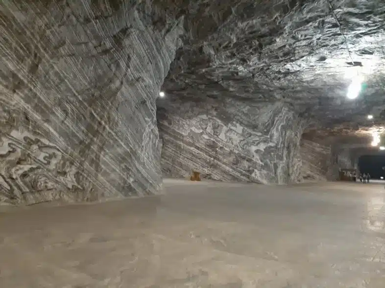 Ouverture internationale 880 52e92f_a3f08ca05aa347ce8782420354ef6773~mv2