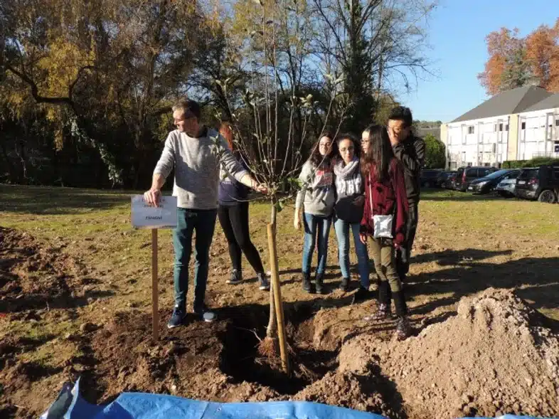 Ouverture internationale 1108 52e92f_a6ecb048a33e4e6f8f9ca8a36246a049~mv2