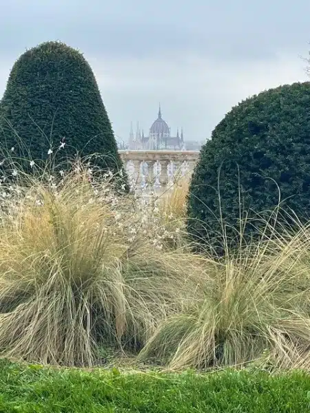 Ouverture internationale 191 52e92f_a8e4716cb5b24bbc8e20e61e0920dcd7~mv2