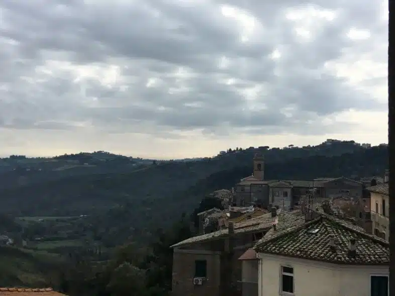 Ouverture internationale 1264 52e92f_aa169cdff1d841c79d17695699d47afe~mv2