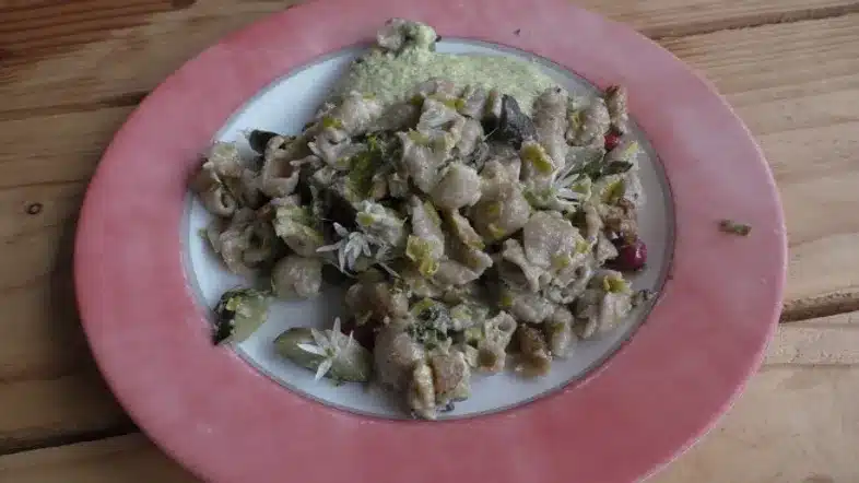 Ouverture internationale 492 52e92f_ab80c6a236094ddcaa69ea271b8ec468~mv2